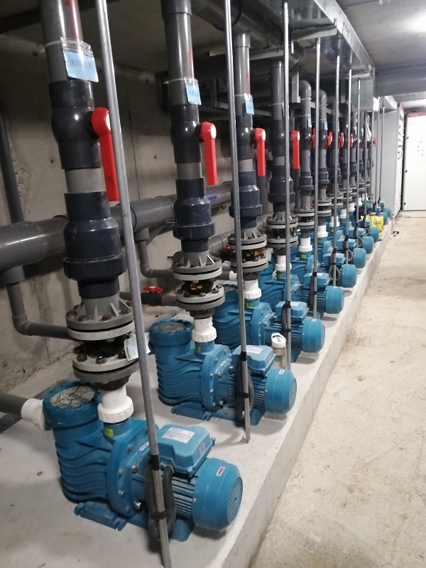 愛克泳池設(shè)備案例