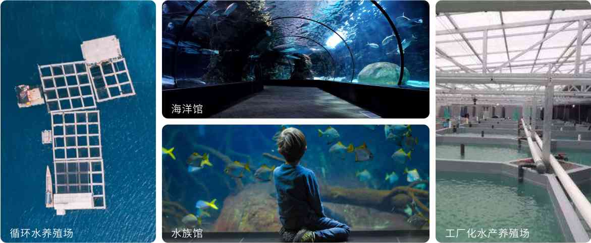 蛋白質分離器應用領域 蛋白質分離器應用領域